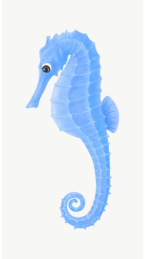 Blue seahorse, animal illustration, collage element psd