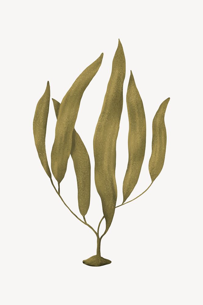 Green ocean plant, aesthetic nature illustration