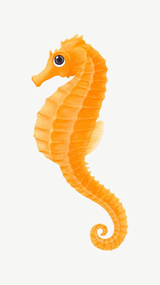 Orange seahorse, animal illustration, collage element psd
