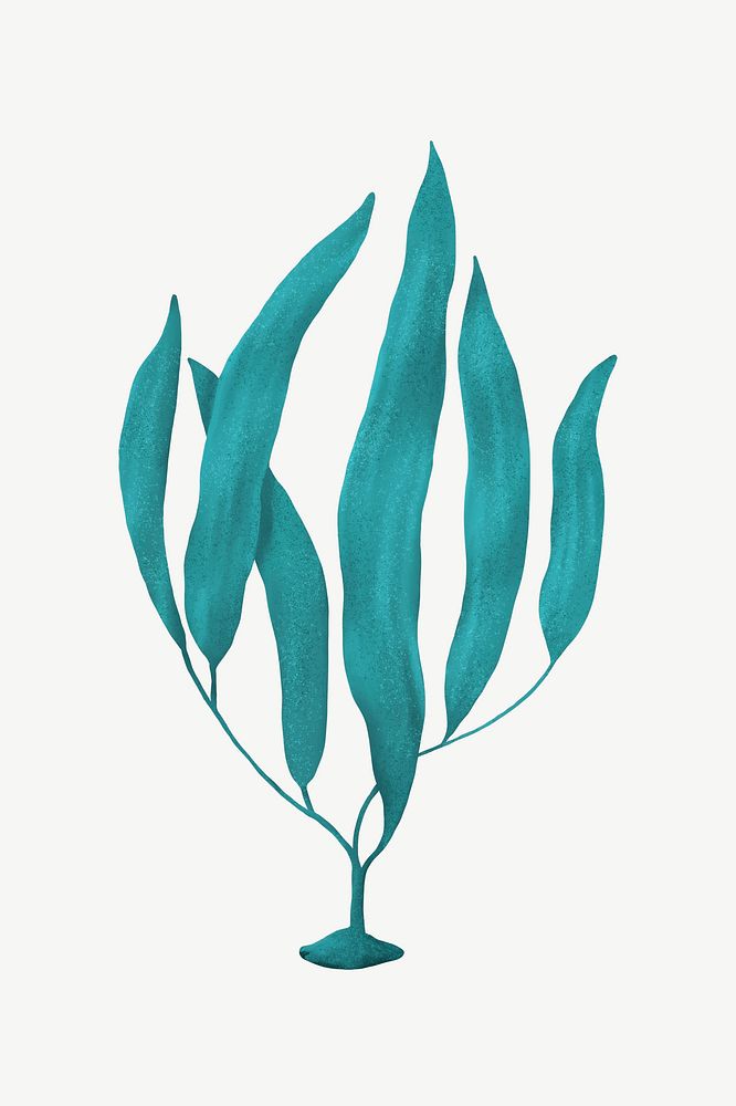 Green ocean plant, nature illustration collage element psd