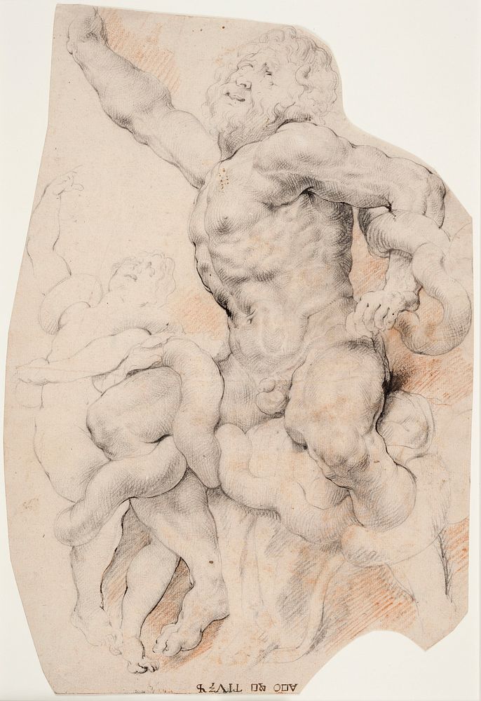 Laocoon.Front view of Laocoon and his younger son turned to the left. by Willem Panneels