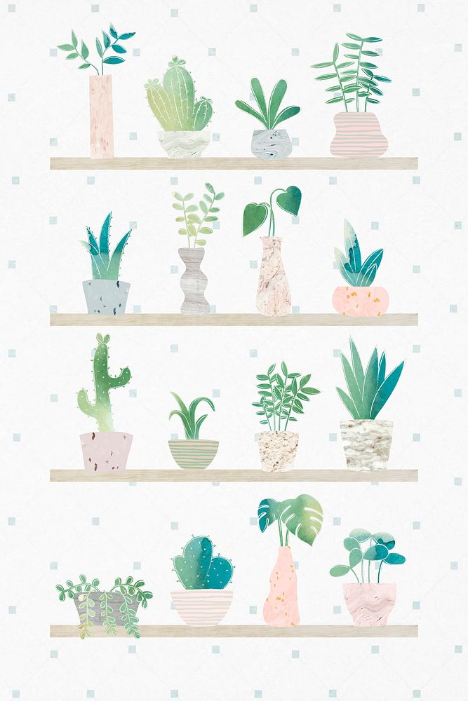 Green botany cactus collection background