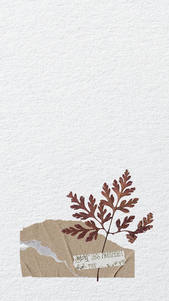 iPhone wallpaper aesthetic leaf paper craft, white background