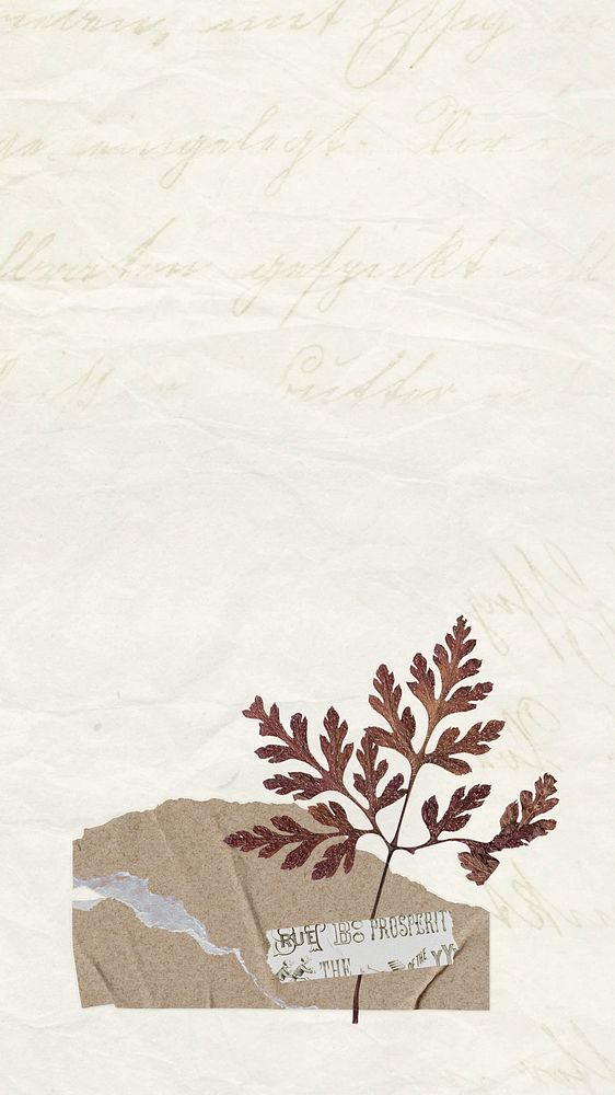 iPhone wallpaper aesthetic leaf paper craft, beige background