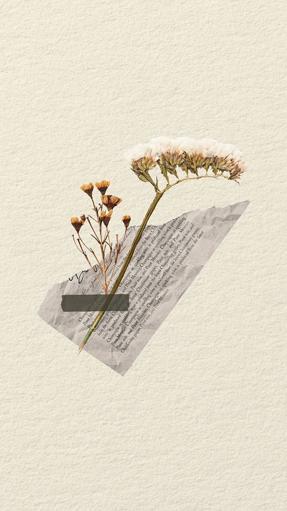 iPhone wallpaper aesthetic flower paper craft, beige background