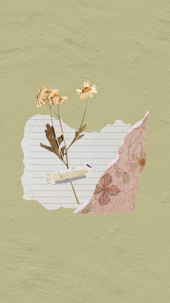 iPhone wallpaper aesthetic flower paper journal