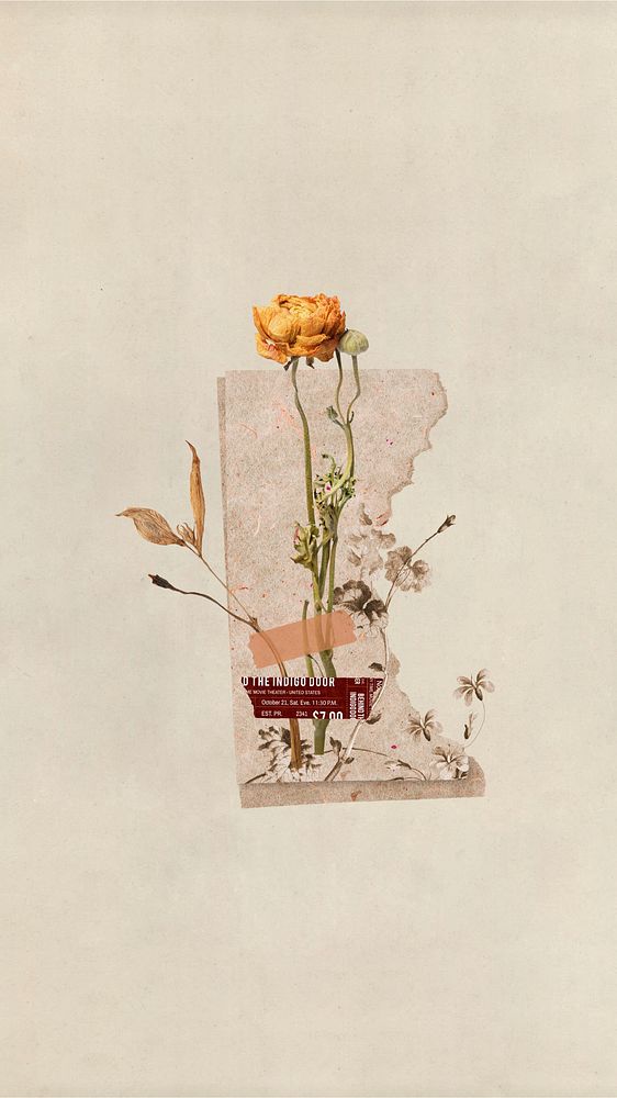 iPhone wallpaper aesthetic dried flower journal, beige background