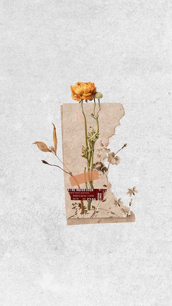 iPhone wallpaper aesthetic dried flower journal, white background