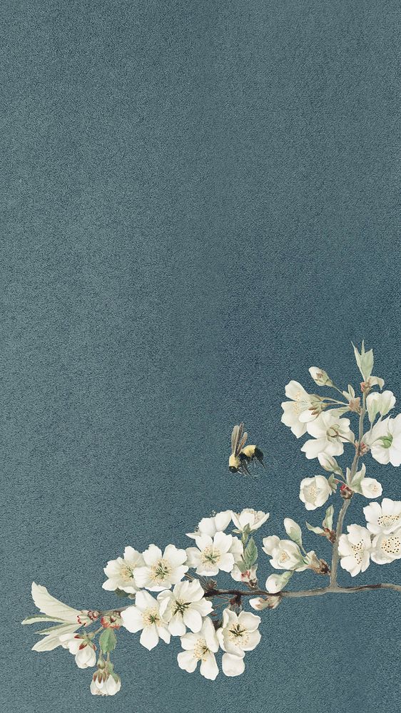 Flower illustration, spring iPhone wallpaper
