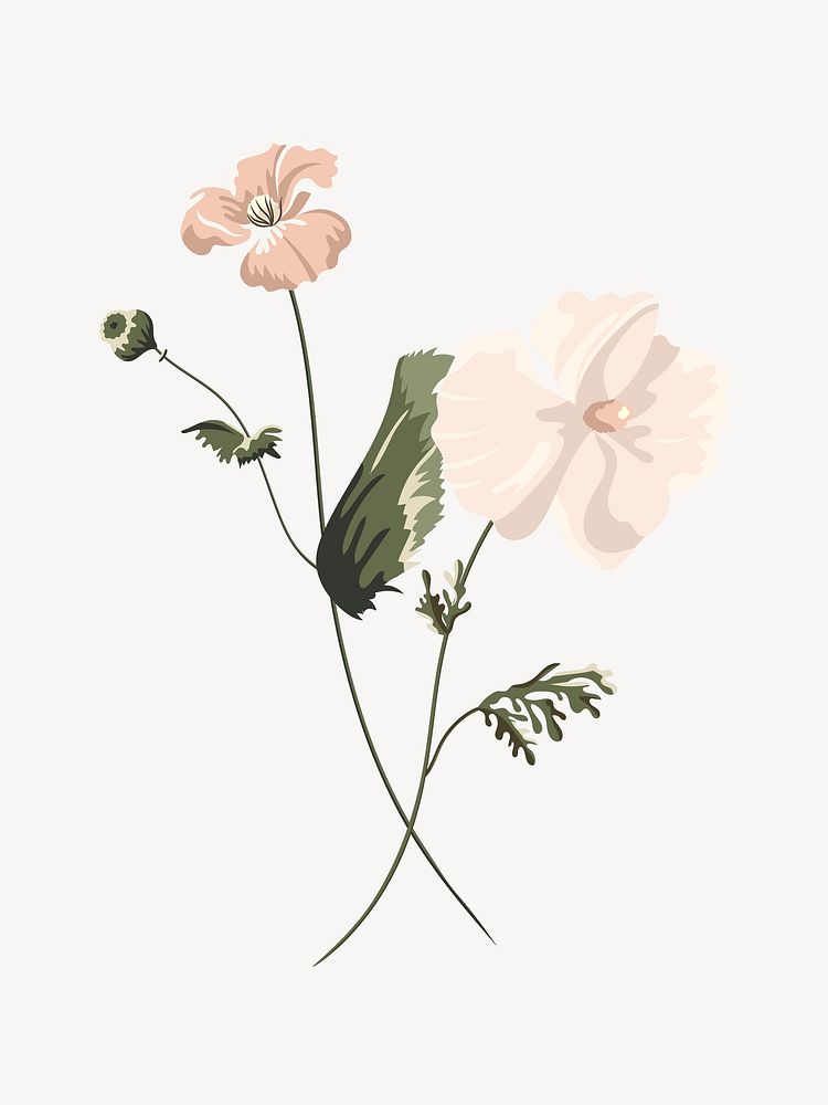 Beige flower aesthetic vector