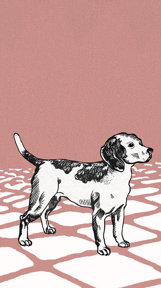 Vintage beagle illustration iPhone wallpaper