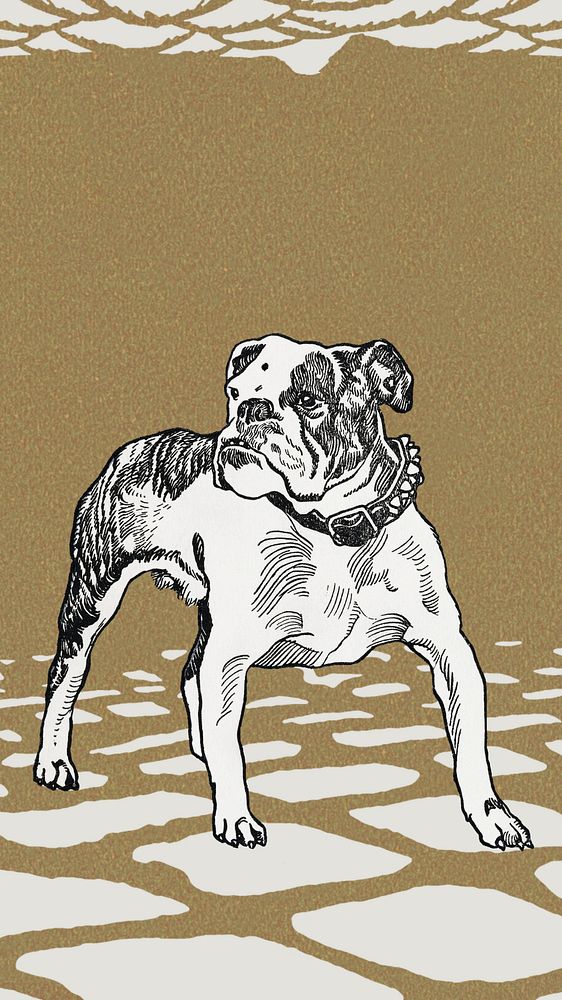 Pit-bull illustration, brown iPhone wallpaper