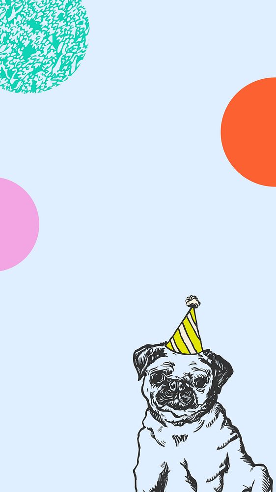 Birthday pug, blue iPhone wallpaper