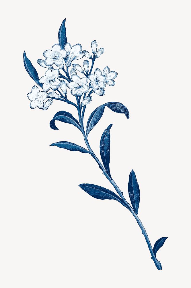 Vintage almond flower painting, blue, monochromatic psd