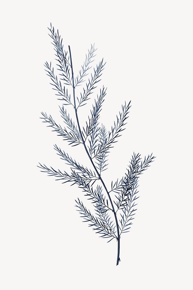 Vintage blue leaf illustration psd