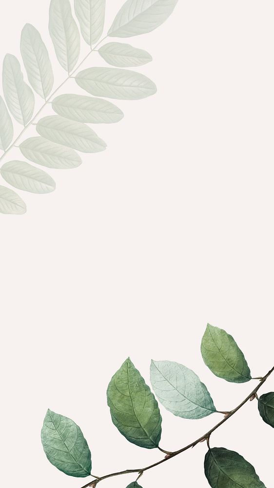 Leaf border beige mobile wallpaper