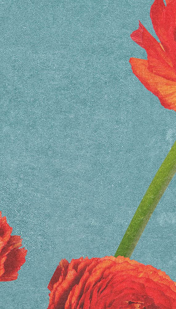 Blue aesthetic textured phone wallpaper, red flower border