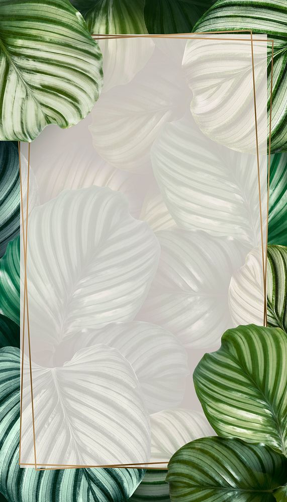 Tropical leaf frame iPhone wallpaper, botanical design