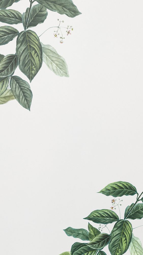 Off-white iPhone wallpaper, vintage leaf border