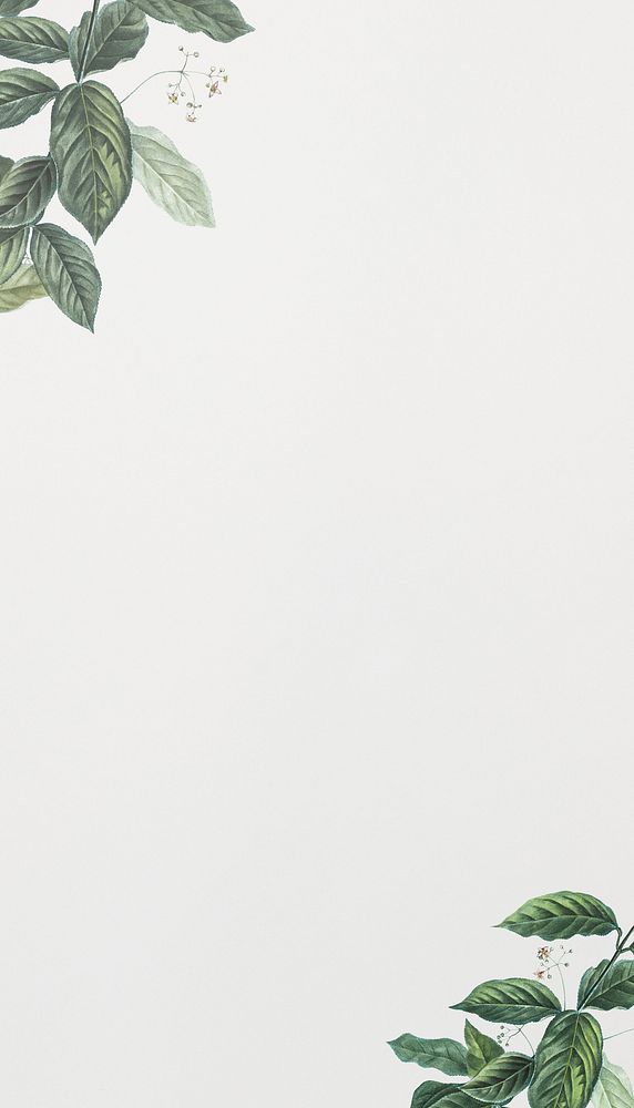 Off-white iPhone wallpaper, vintage leaf border