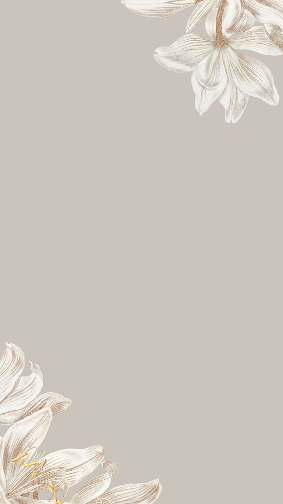 Vintage white flower iPhone wallpaper, greige border background