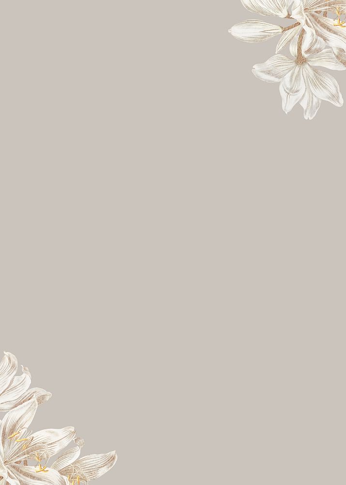 Vintage white flower background, greige border