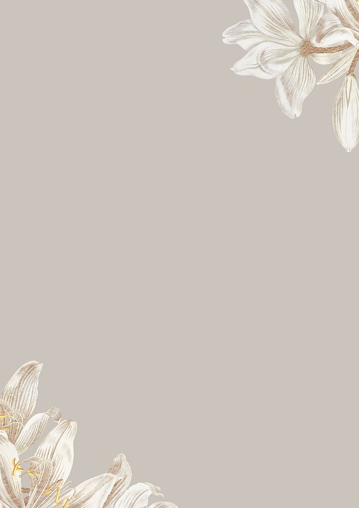 Vintage white flower background, greige border