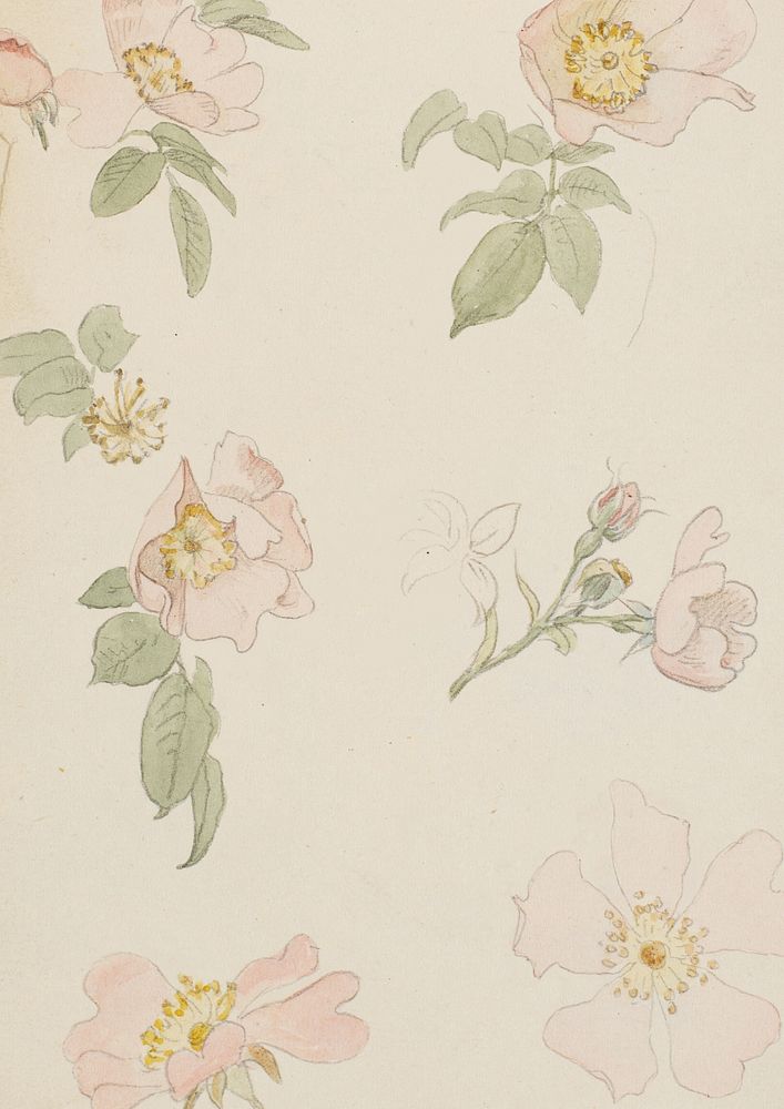 Vintage flower background, beige paper design
