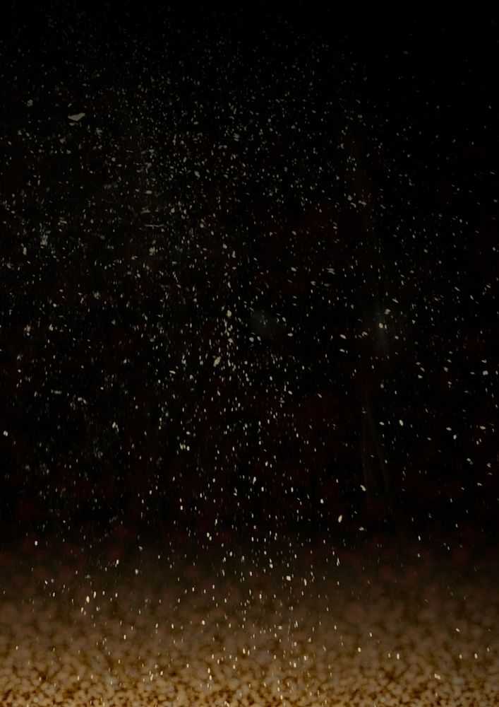 Black background, gold dust border 