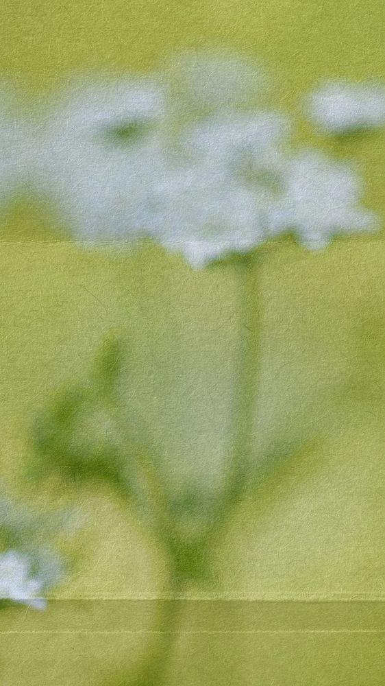 Aesthetic blurred flower mobile wallpaper
