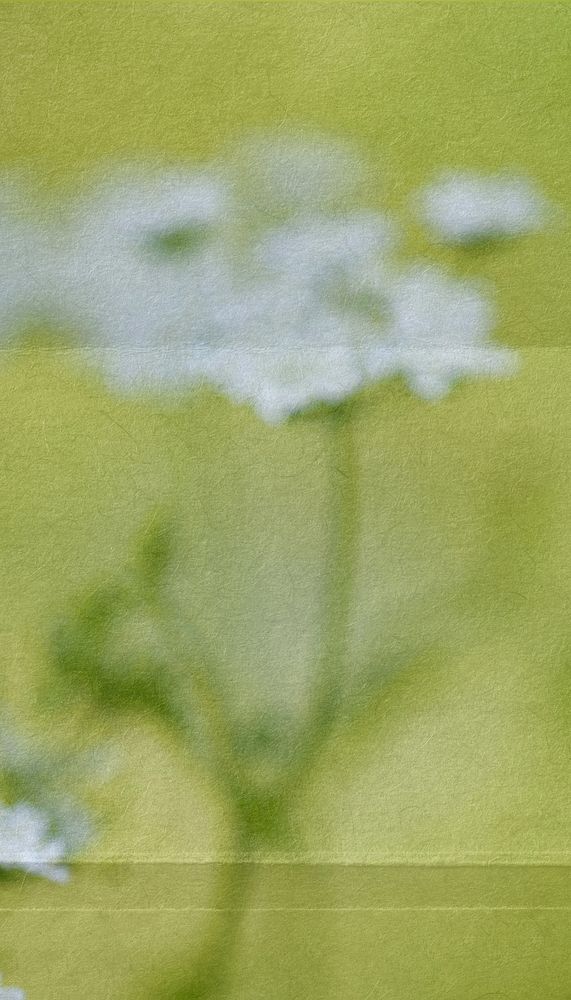 Aesthetic blurred flower mobile wallpaper
