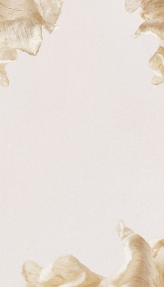 Beige aesthetic iPhone wallpaper, floral border frame