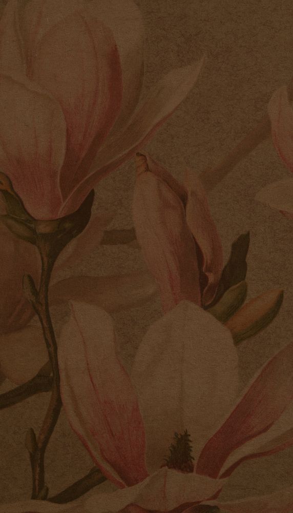 Vintage flower illustration iPhone wallpaper, brown background