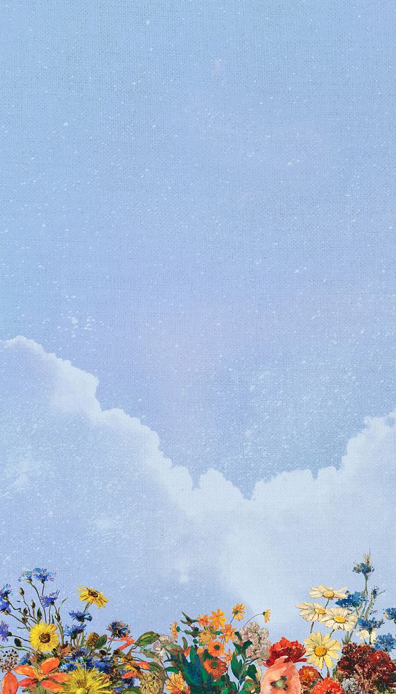 Aesthetic blue sky iPhone wallpaper, flower border