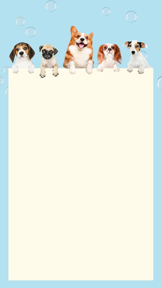 Cute puppies frame iPhone wallpaper
