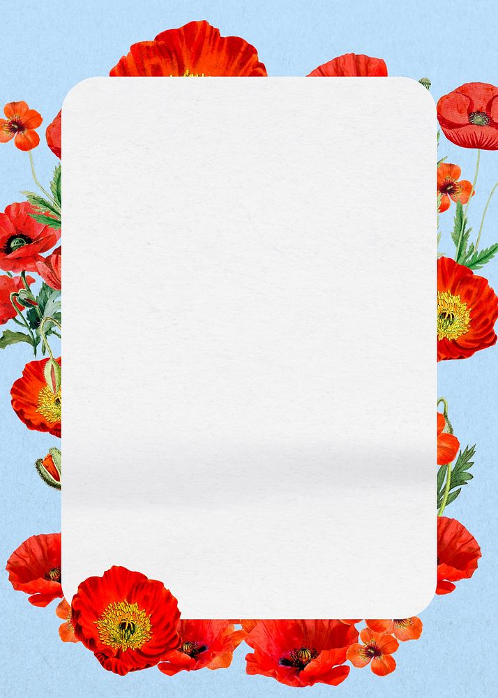 Red poppy frame, Summer flower design