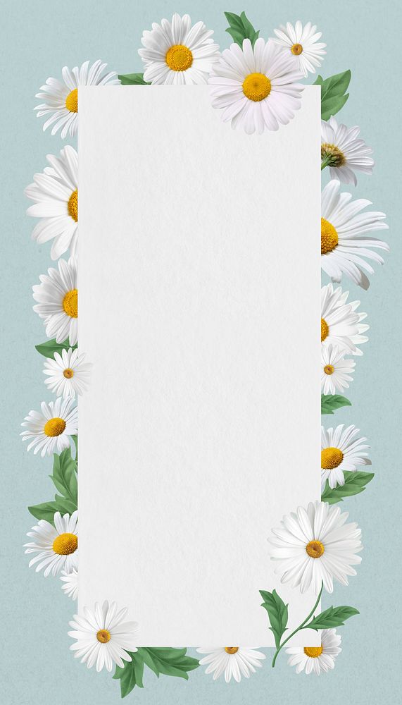 White daisy frame  iPhone wallpaper, Spring flower design