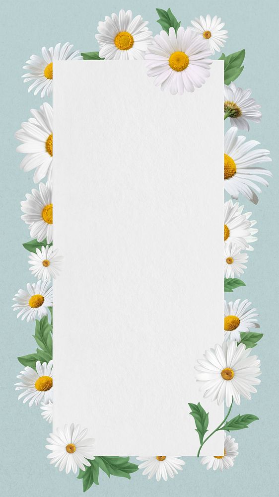 White daisy frame  iPhone wallpaper, Spring flower design