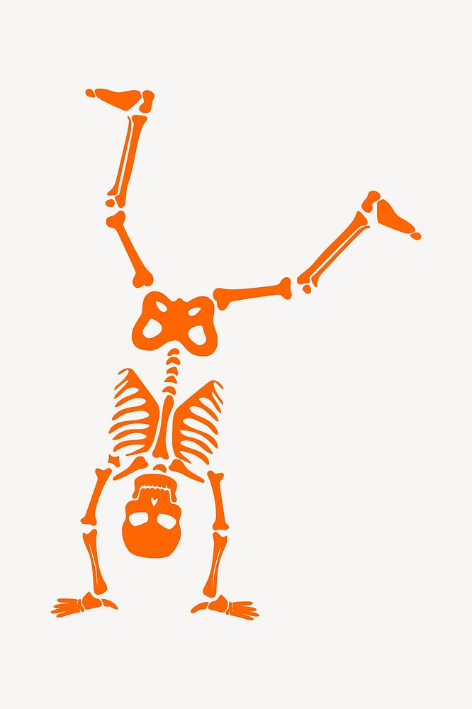 Skeleton illustration. Free public domain CC0 image.