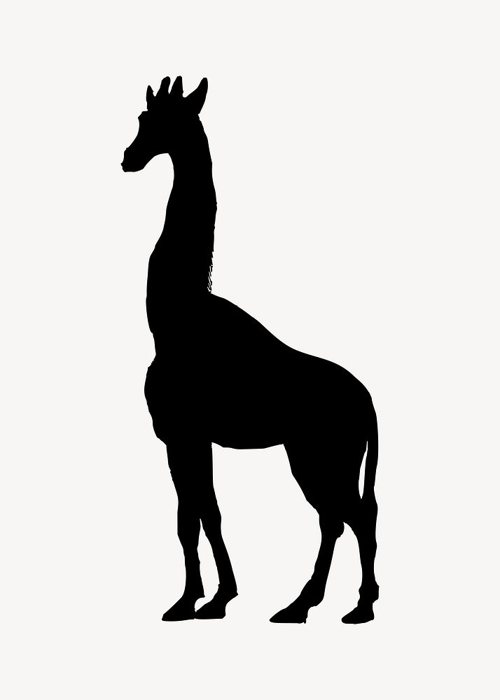 Giraffe illustration. Free public domain CC0 image.