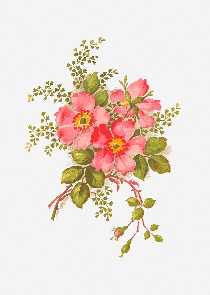 Pink vintage flower watercolor, clip art. Free public domain CC0 image.