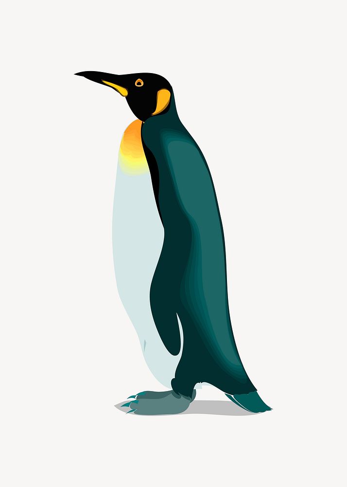 Penguin illustration, clip art. Free public domain CC0 image.