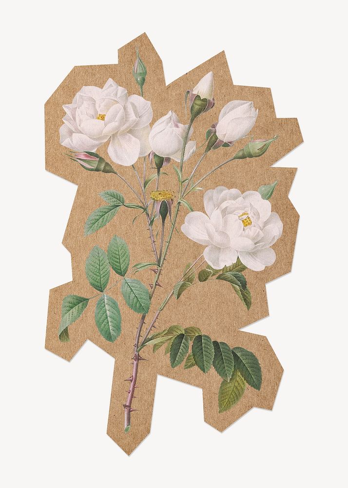 Vintage white flowers, cut out paper element. Artwork from Pierre Joseph Redouté remixed by rawpixel.