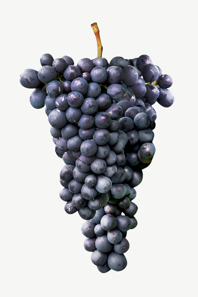 Purple grape design element psd