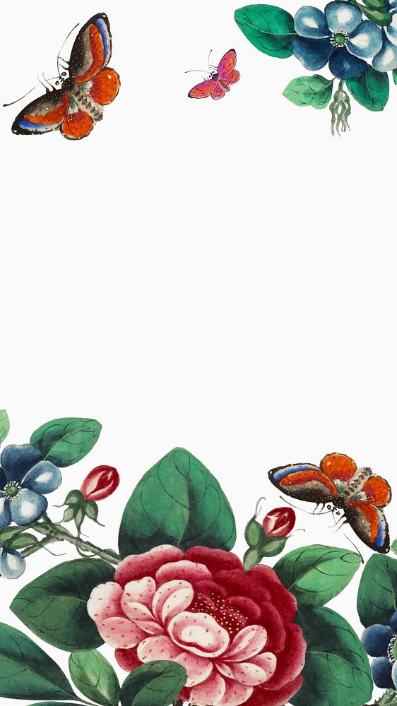 Flower mobile wallpaper, peony flower illustration on white background