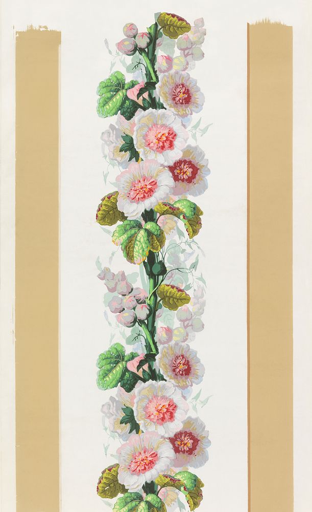 Sidewall flower. Original public domain image from Smithsonian. Digitally enhanced by rawpixel.