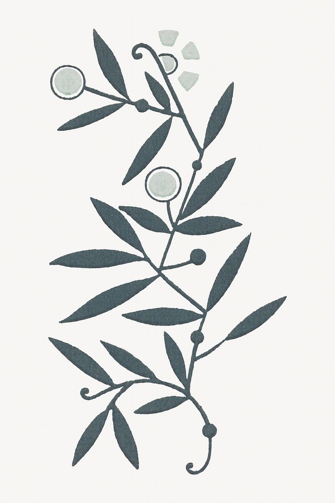 Vintage leaf illustration isolated design. Remixed by rawpixel.