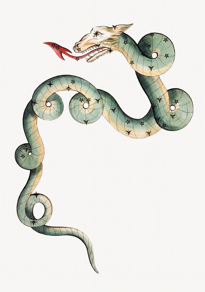 Mythological snake, Draco constellation illustration isolated design. Remixed by rawpixel.