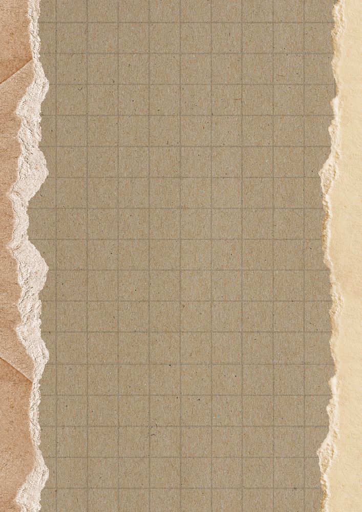 Brown grid patterned background, ripped paper border