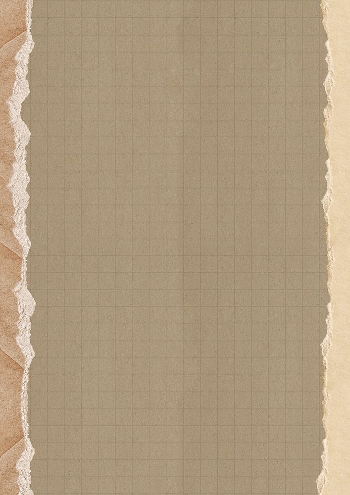 Brown grid patterned background, ripped paper border